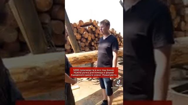 Весь лес за границу а нам мебель из опилок смотреть онлайн