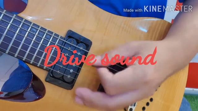 Schecter Terry corso signature