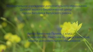 Юные натуралисты в действии. Рассказывает Полина Ранеткина (кружок "Юный натуралист")