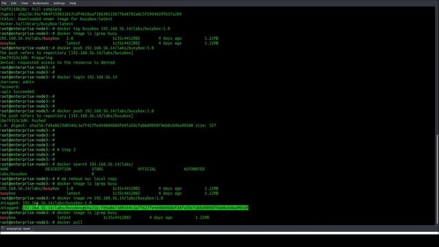 Chapter 13. Implementing an Enterprise-Grade Registry with Docker Trusted Registry смотреть онлайн