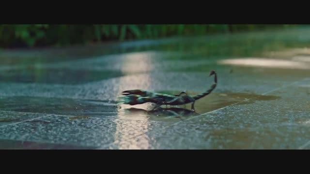 Исчезнувшая в звёздах (2023) Трейлер на русском смотреть онлайн