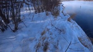 Два дня охоты на тайменя, сюжет с рыбалки, 2020 год. 16+