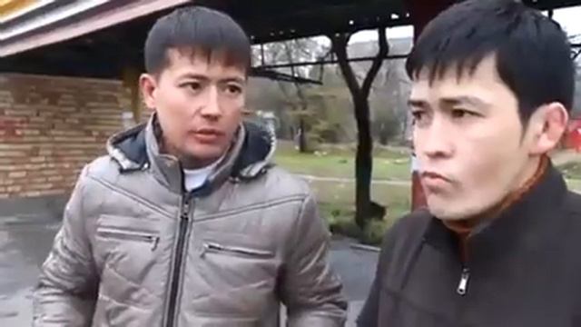 ачык менен жабыктын айырмасыы смотреть онлайн