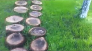 дорожка из спилов дерева