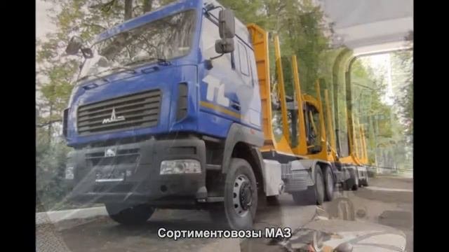 #816. Сортиментовозы МАЗ [Тюнинг автомобилей]