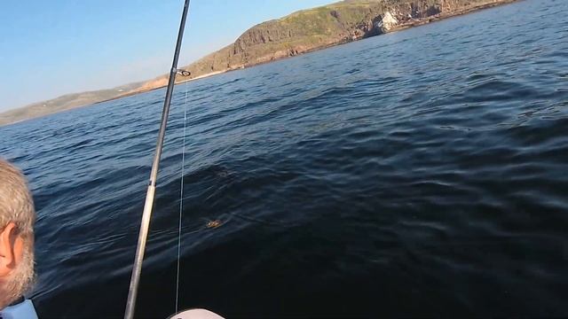 Ловим в Баренцевом море краба ,треску и береговую охрану :))) смотреть онлайн