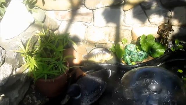 чудо дача 3 смотреть онлайн