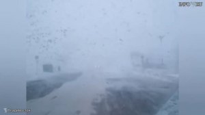 Сильнейший ветер сбивает с ног людей во Владивостоке. Снежная буря в Приморье.