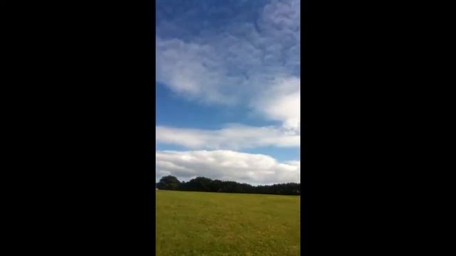 "Let's Play" a game with the cows смотреть онлайн