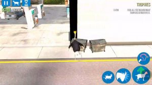 Симулятор страуса