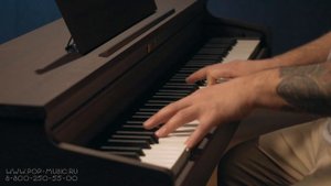 Цифровое пианино BECKER BDP-92R