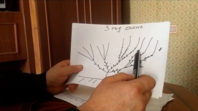 Испанский куст смотреть онлайн