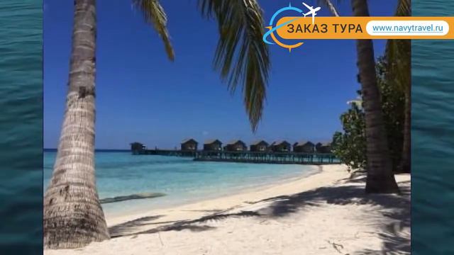 CENTARA RAS FUSHI RESORT&SPA 4* Мальдивы обзор – ЦЕНТАРА РАС ФУШИ РЕЗОРТ&СПА 4* Мальдивы видео обзо смотреть онлайн