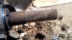 Брикеты из куриного помёта.