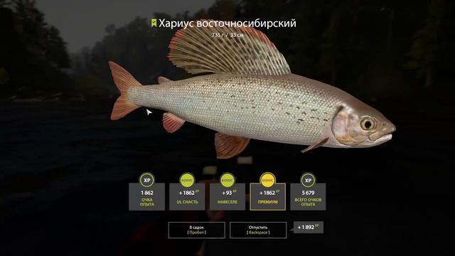 750 серебра за час | ФАРМ | Ленок, Хариус, Форель | р. Нижняя Тунгуска | Русская Рыбалка 4