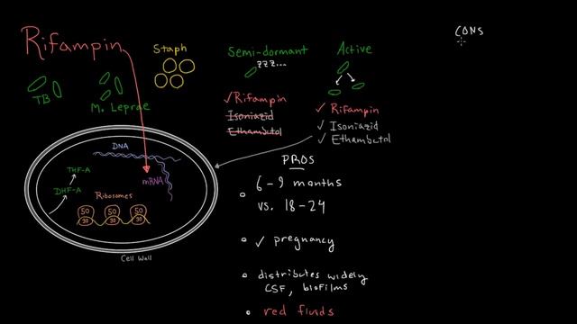 Rifampin смотреть онлайн