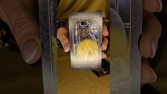 1 МАГ обзор и значение карт Таро Liza Parker "Taro Familiars", Старший Аркан "1 THE MAGICIAN"