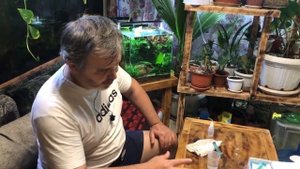 Исправляем фосфат нитрат в аквариуме, фосфат нитрат калий из садового магазина