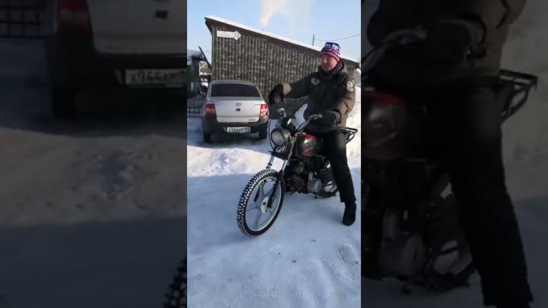 Альфа Бандит