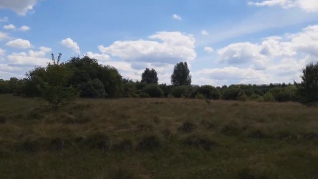 Коп в поле. Пробежка с Теркой 705.
