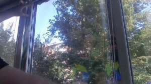 Тонировка окон своими руками ! Отличное решение !