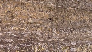 07_05_2019_ПИСАНЫЕ КАМНИ_с.ОРЕХОВКА_ПЕТРОВСКИЙ р_он_СТАВРОПОЛЬЕ.mp4