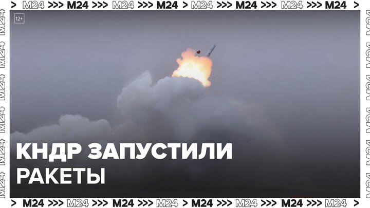 КНДР пустила несколько крылатых ракет в сторону Японского моря: Новости мира - Москва 24