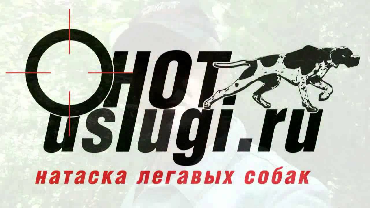 Анонс 14 серии - Нужен ли подсадной перепел для натаски легавой? смотреть онлайн