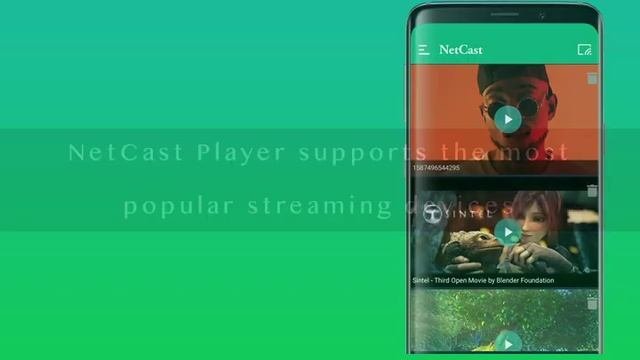 NetCast