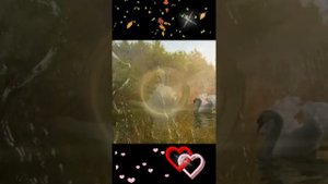 Сагит Гыйбашев "Яна йөрәгем"