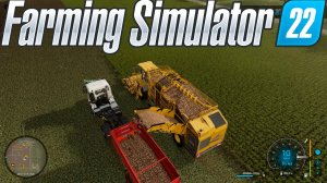 Свеколка для свинок. Farming simulator 22. Кооператив - 54.