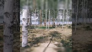 Десногорск. Кемпинг. База отдыха Богданово. Июль 2021.