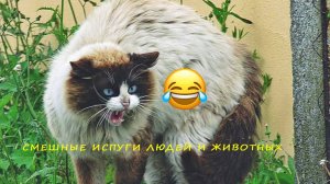 СМЕШНЫЕ ИСПУГИ ЛЮДЕЙ И ЖИВОТНЫХ