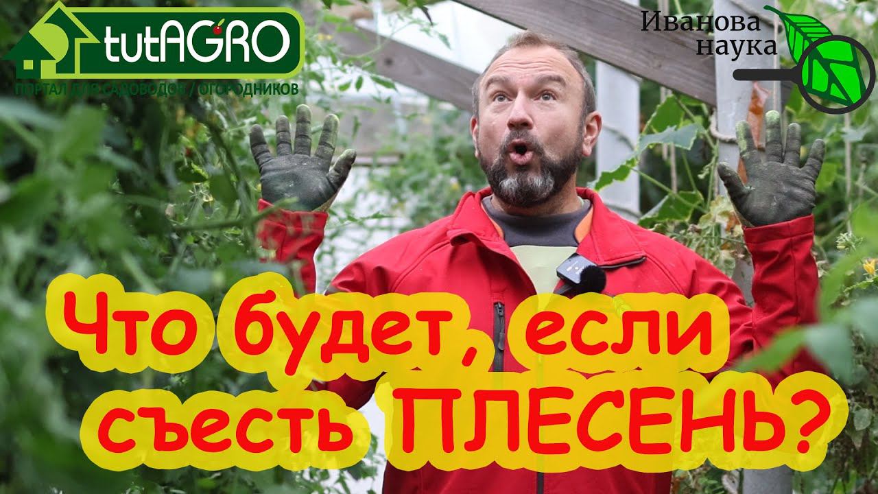 ПЛЕСЕНЬ - ЭТО ВКУСНО! Что будет, если съесть плесень? А если съесть много плесени? А если чуть-чуть?