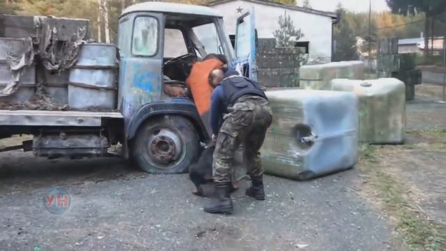 5 Самых Опасных Пород Собак в Мире