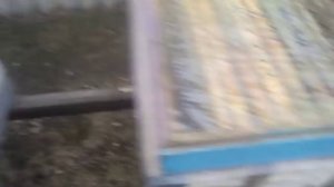 ЗИМОВКА ПЧЁЛ В КАМЫШОВЫХ И ДЕРЕВЯННЫХ УЛЬЯХ. СРАВНЕНИЕ