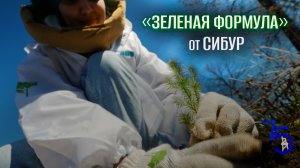 УГНТУ принял участие в лесоклиматической программе