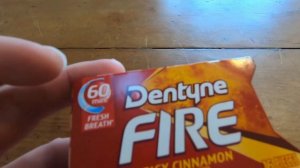 Dentyne Fire Spicy Cinnamon Gum