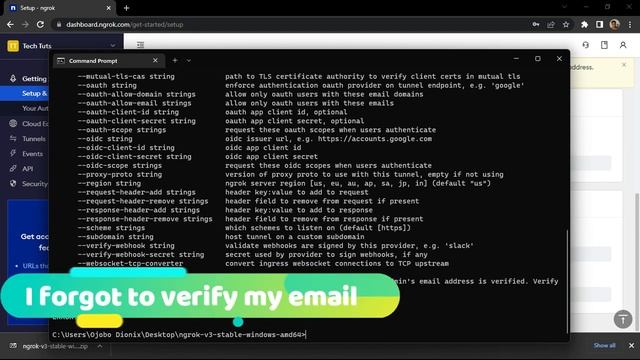 How to make localhost available over internet - Ngrok смотреть онлайн