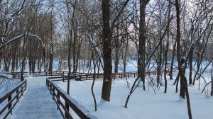 Дочь уборщицы загнобили и не взяли на выпускной... То, чем она «умыла» родкомитет, шокировало...