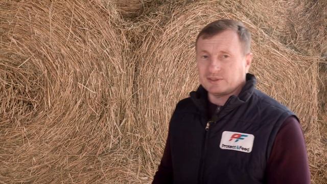 Что такое грубые корма?Как их хранить?Как определить влажность корма без специального оборудования?