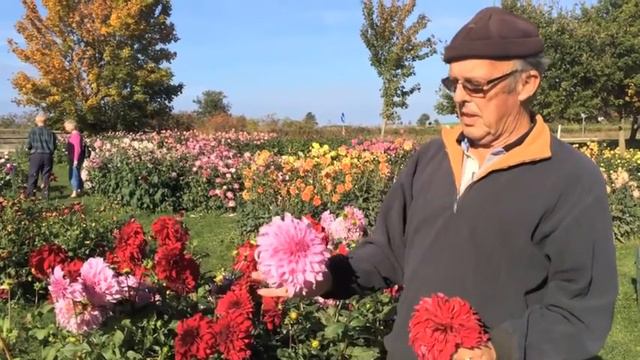 large смотреть онлайн