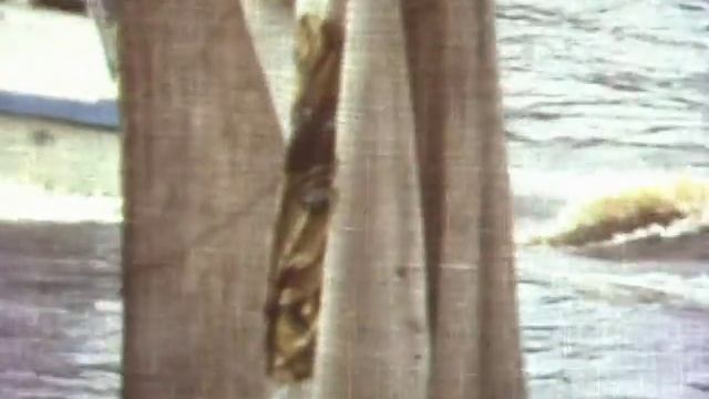 Водный праздник на реке Днепр города Орша в 1987 году