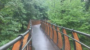 Воздушная экотропа ВДНХ: прогулка в гармонии с природой 🌿