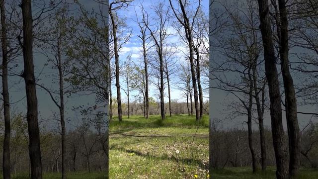 Внутренний баланс. Звуковая коррекция. смотреть онлайн