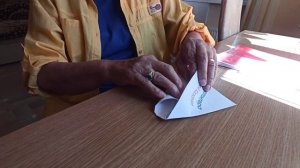 Лучшие практики серебряных волонтеров. Фильм 4