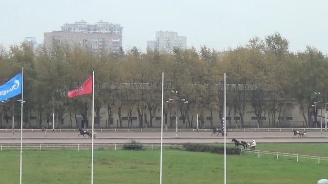 ЦМИ.Бега.23.09.12.Заезд 8. Очередная победа мастера. смотреть онлайн