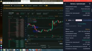 Робот для Бинанс Royal Q. Как люди теряют деньги