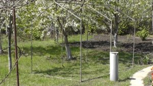 Самодельный парник из профтрубы