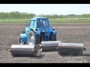 Кубанский рис. Прикатывание посеянного риса